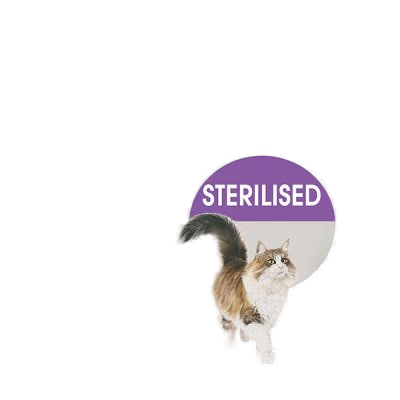 Kuzulu Yetişkin Köpek Konservesi 400gr