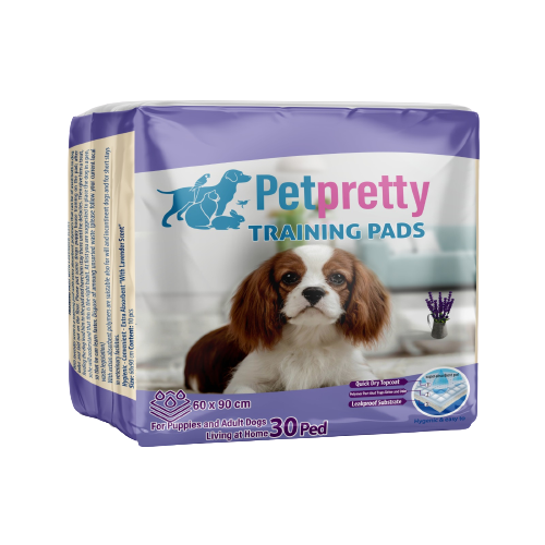 Petpretty Köpek Eğitim Çiş Pedi (30’lu)
